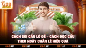 Cách Soi Cầu Lô Đề - Cách Đọc Cầu Theo Ngày Chẵn Lẻ Hiệu Quả