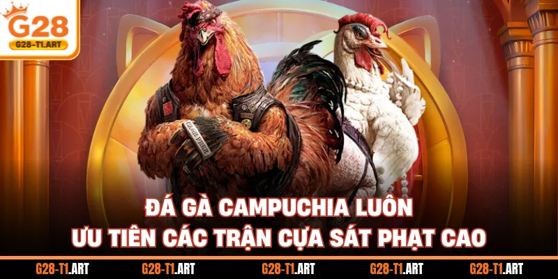 Đá Gà Campuchia Luôn Ưu Tiên Các Trận Cựa Sát Phạt Cao