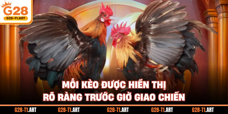 Mỗi Kèo Được Hiển Thị Rõ Ràng Trước Giờ Giao Chiến